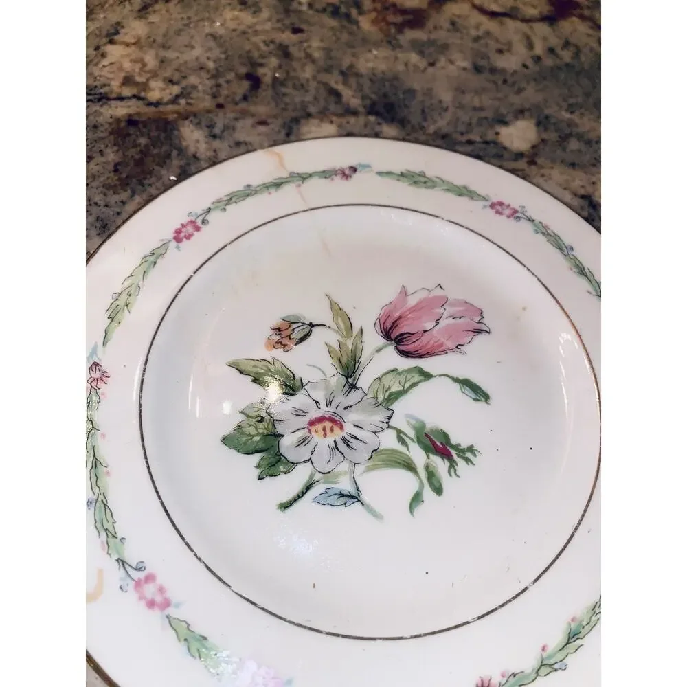 20 Theodore Haviland China New York Garden Flower Dinner Plates Lot Set Vintage